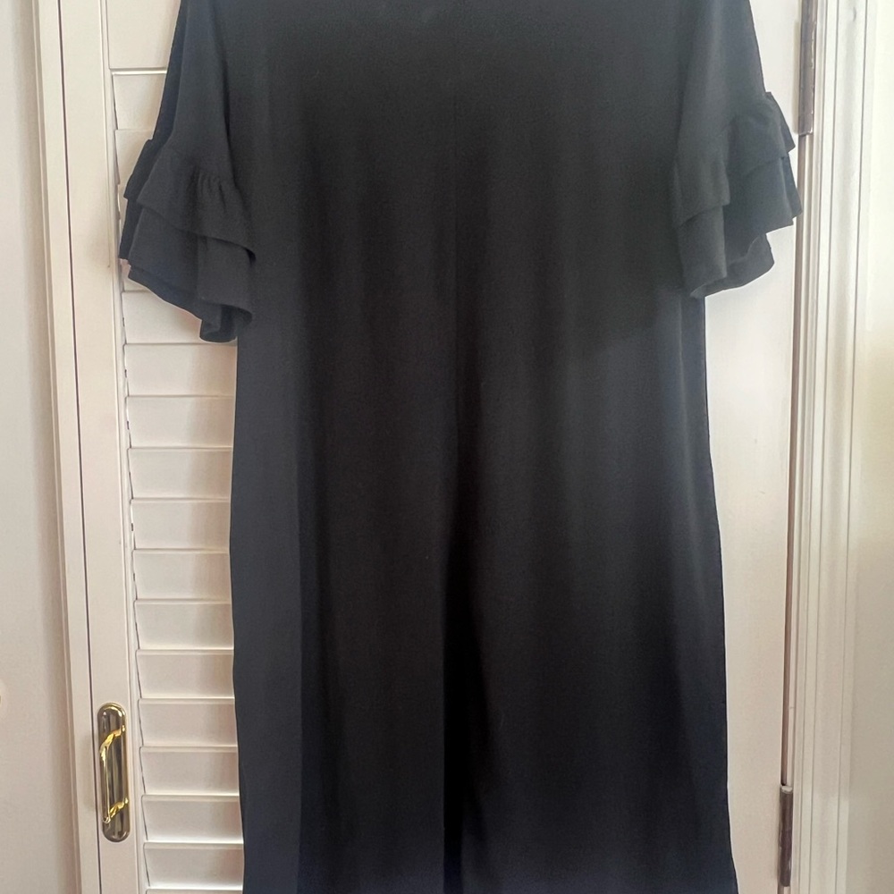 Black Ruffle Sleeve Dress
Final Markdown - Picture 3 of 4